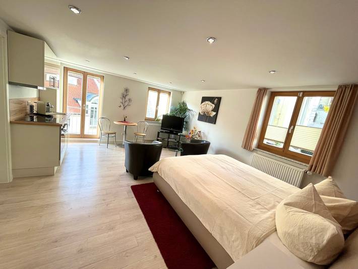 Geheel appartement, Appartement Am Schloss met privéterras en wifi in Sigmaringen, Hohenzollern Radweg Region