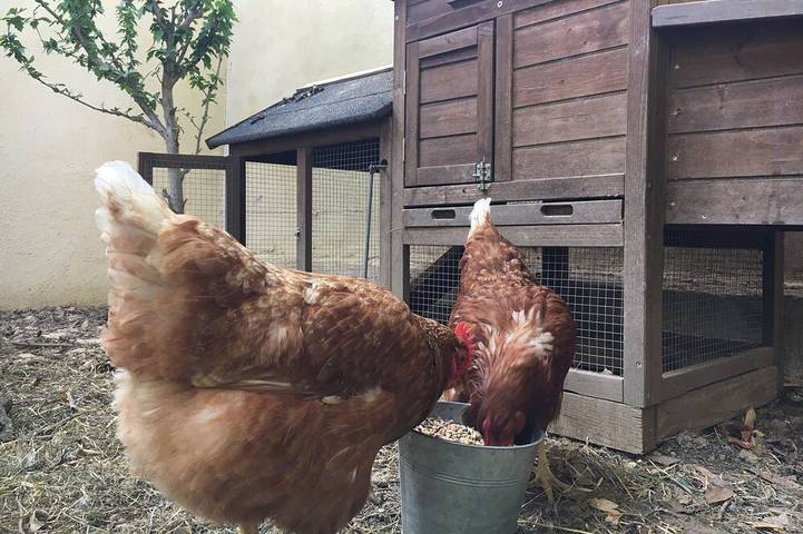 Gîte pour 7 personnes à Lavérune - 4