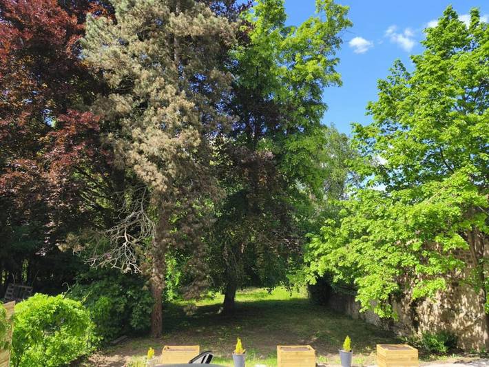 Location de vacances pour 8 personnes, avec piscine ainsi que jardin et jacuzzi dans Val-de-Moder - 4