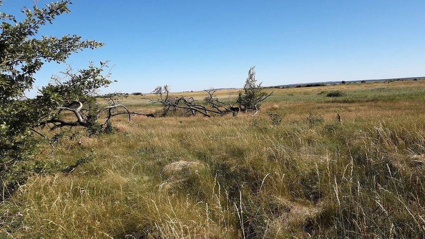 Ferienhaus für 7 Personen, mit Terrasse in Amtoft - 3