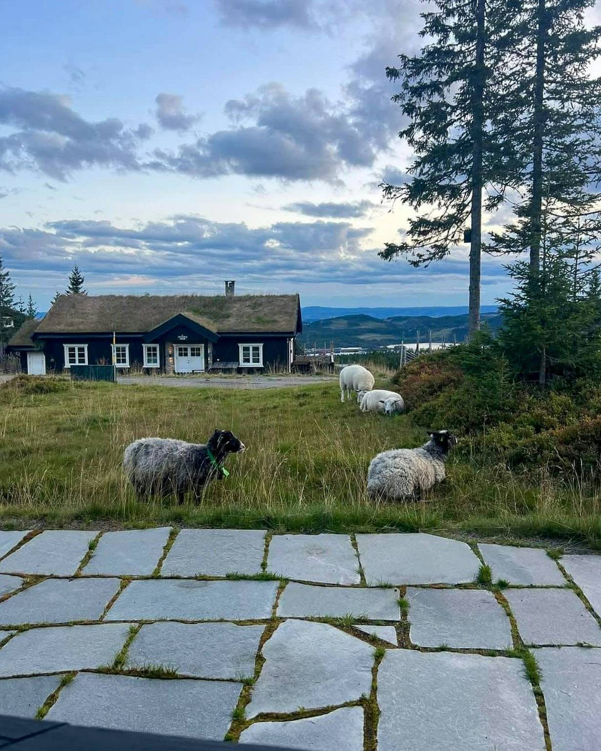 Authentisches Hüttenerlebnis für die Familie auf Sjusjøen in Ringsaker