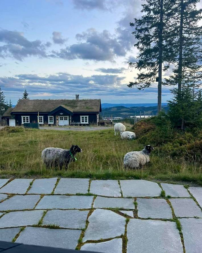 Ferienhaus für 8 Personen, mit Terrasse und Sauna