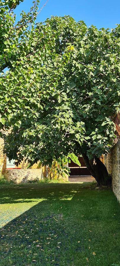 Gîte pour 6 personnes, avec vue et jardin à Sabran - 2