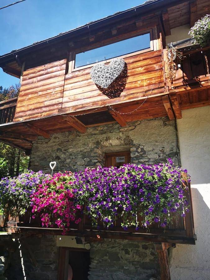 Chambre d’hôte pour 3 personnes, avec jardin et vue, animaux acceptés à Région de Valtournenche - 2