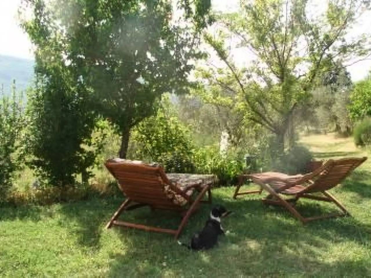 Haus 3 Personen in Arcidosso, Grosseto Provinz