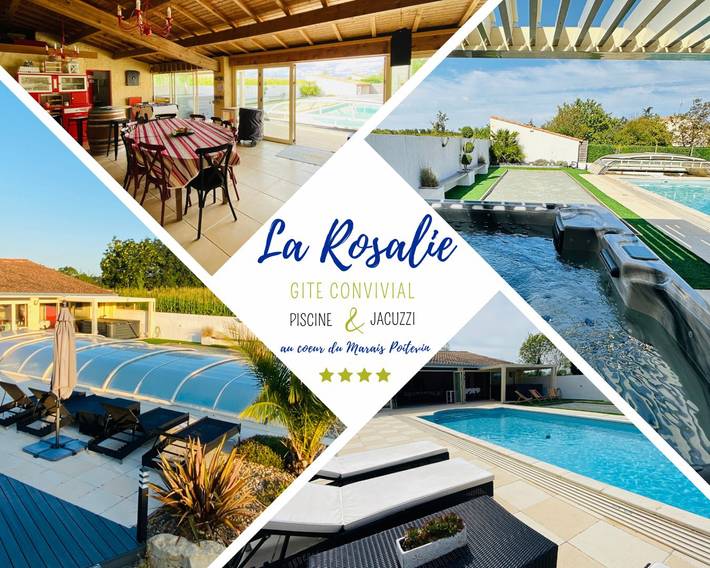 Gîte pour 6 personnes, avec jacuzzi et piscine ainsi que jardin et terrasse à Coulon - 2