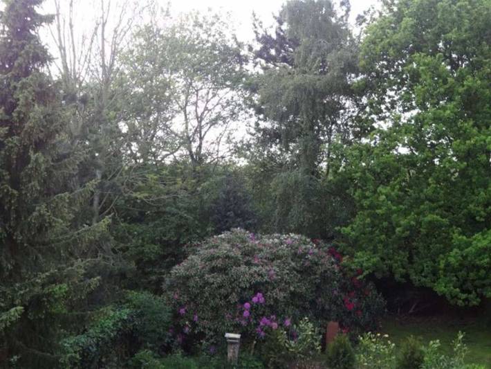 Ferienwohnung für 4 Personen, mit Balkon, kinderfreundlich in Leer - 2