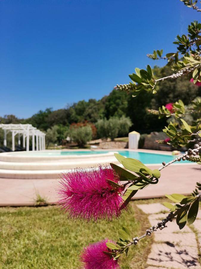 Ganze Wohnung, Double Room with Private Bathroom in Scarlino, Grosseto Provinz