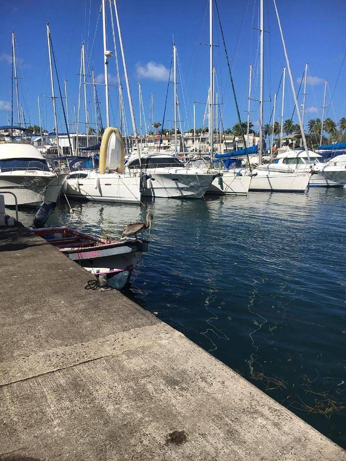 Gîte pour 4 personnes, avec vue dans Pointe du Bout - 4