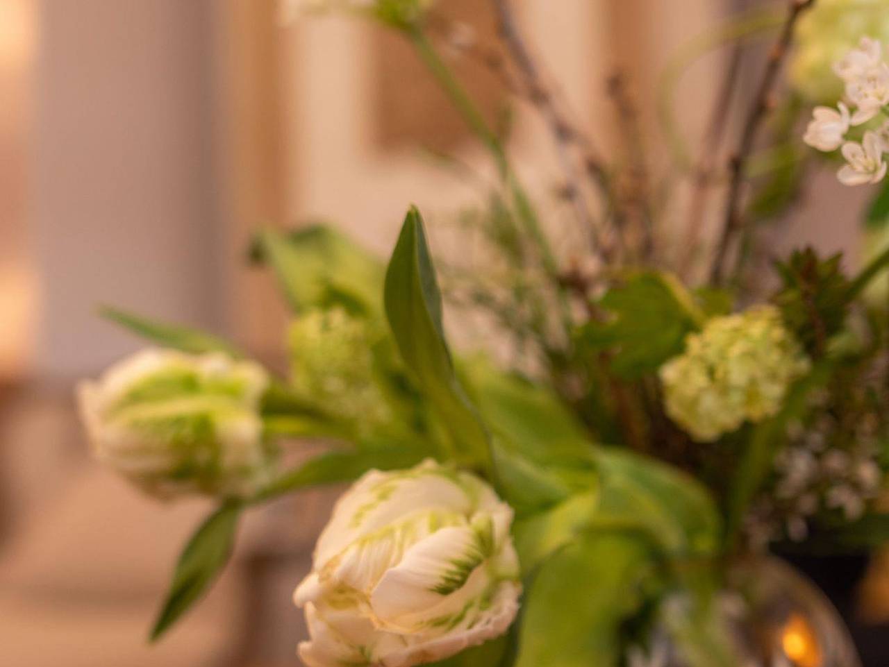 Ganze Ferienwohnung, Ferienwohnung Anno 1898 Zittau in Zittau, Zittauer Gebirge