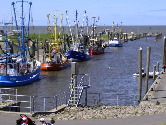 Ferienhaus für 4 Personen, mit Balkon und Sauna, kinderfreundlich an der Wurster Nordseeküste - 4