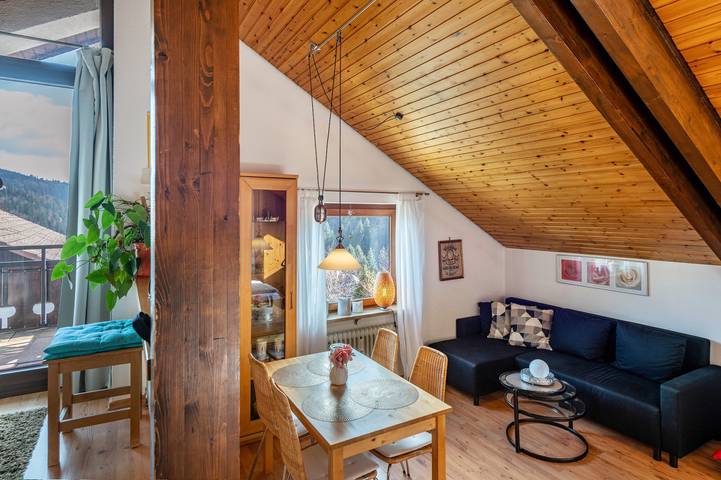 Gîte pour 3 personnes, avec jardin à Todtmoos - 4