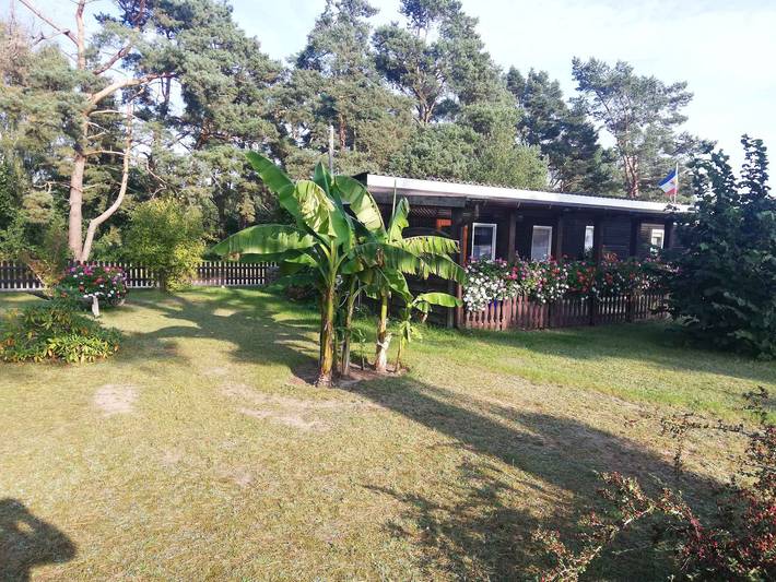 Ferienhaus für 3 Personen am Saaler Bodden - 4