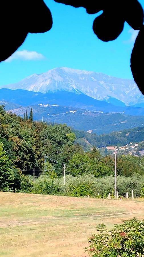 Dimora Bouquet & Gourmet in Ascoli Piceno, Parco nazionale dei Monti Sibillini