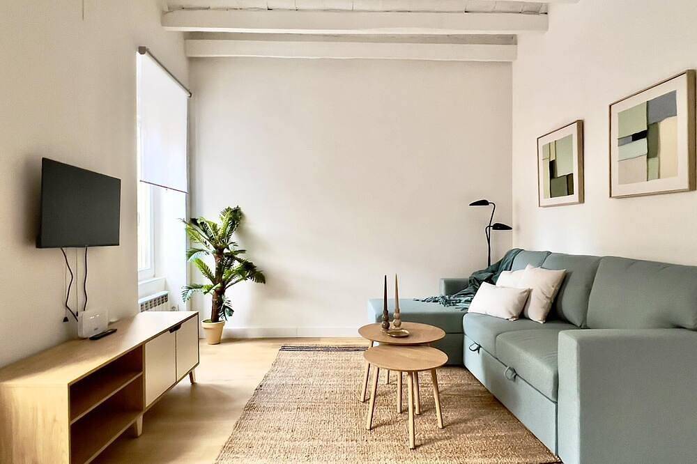 Entire apartment, Housingleon San Mamés in León, Cordillera Cantábrica