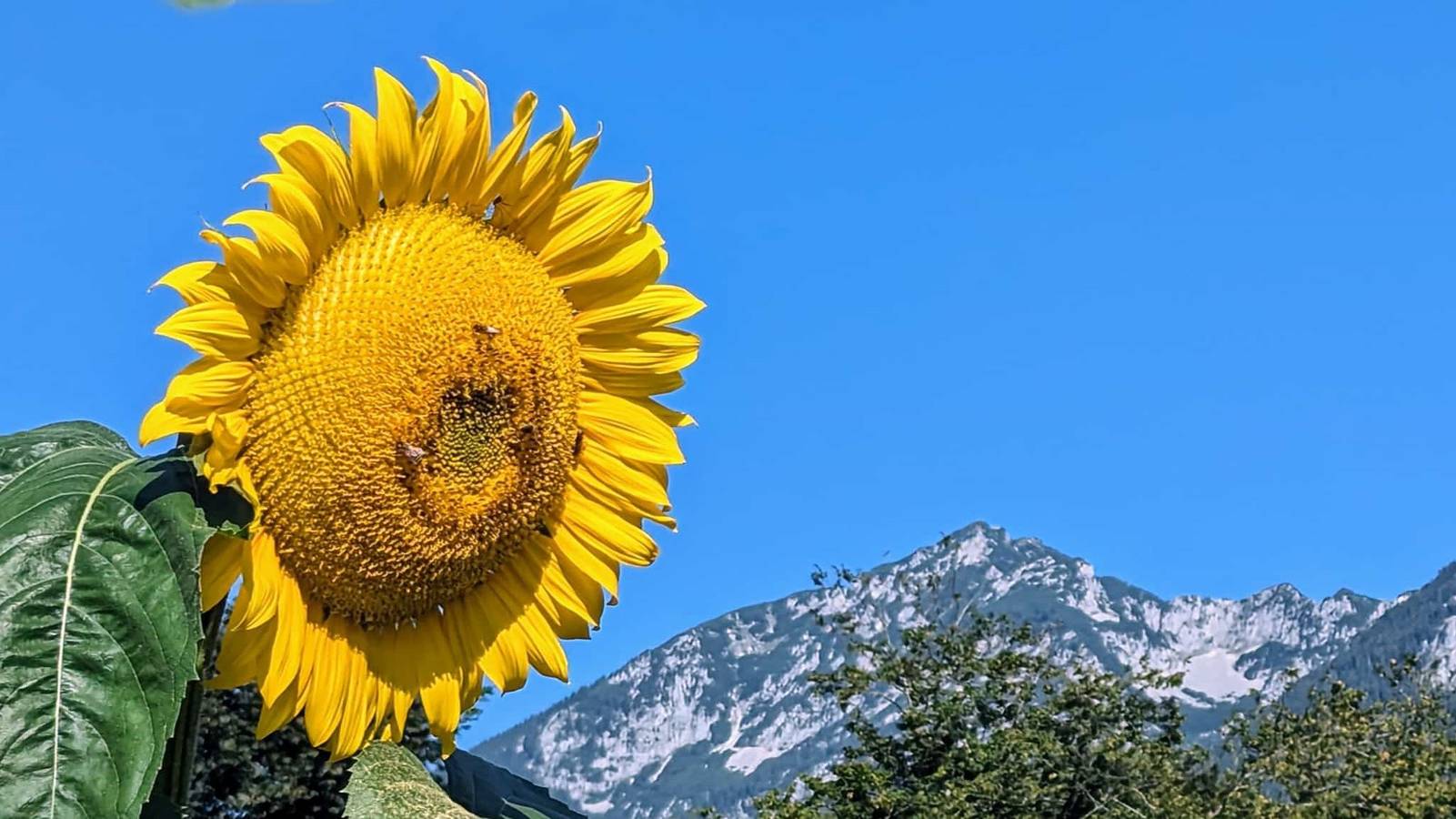 Ganze Ferienwohnung, Ferienwohnungen Natur Pur - Ferienwohnung Erholung Pur, 43 qm, 1 Wohn-, 1 Schlafraum in Bad Reichenhall, Berchtesgadener Alpen