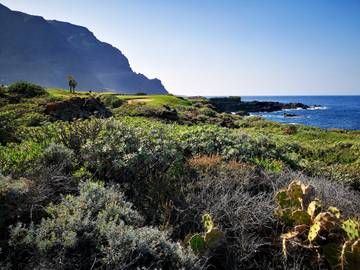 Casa De Vacaciones para 6 Personas en Buenavista del Norte, Tenerife Norte, Foto 4