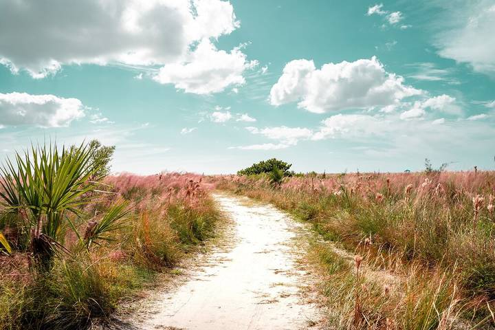 Apartment for 4 people, with terrace in Sarasota