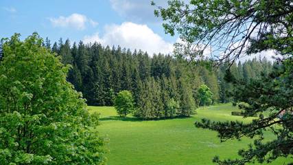 Ferienwohnung für 5 Personen in Schönwald im Schwarzwald, Hochschwarzwald, Bild 1