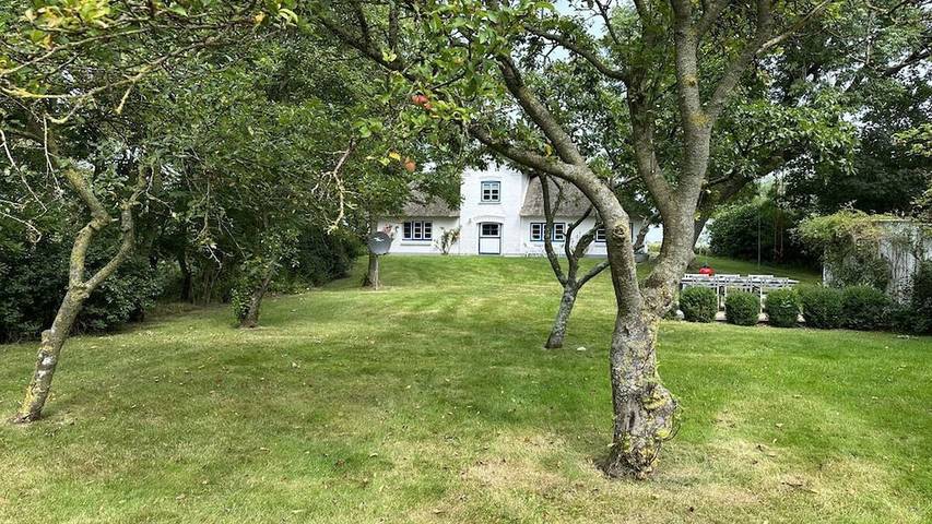 Ferienhaus für 8 Personen, mit Garten in Osterhever - 4