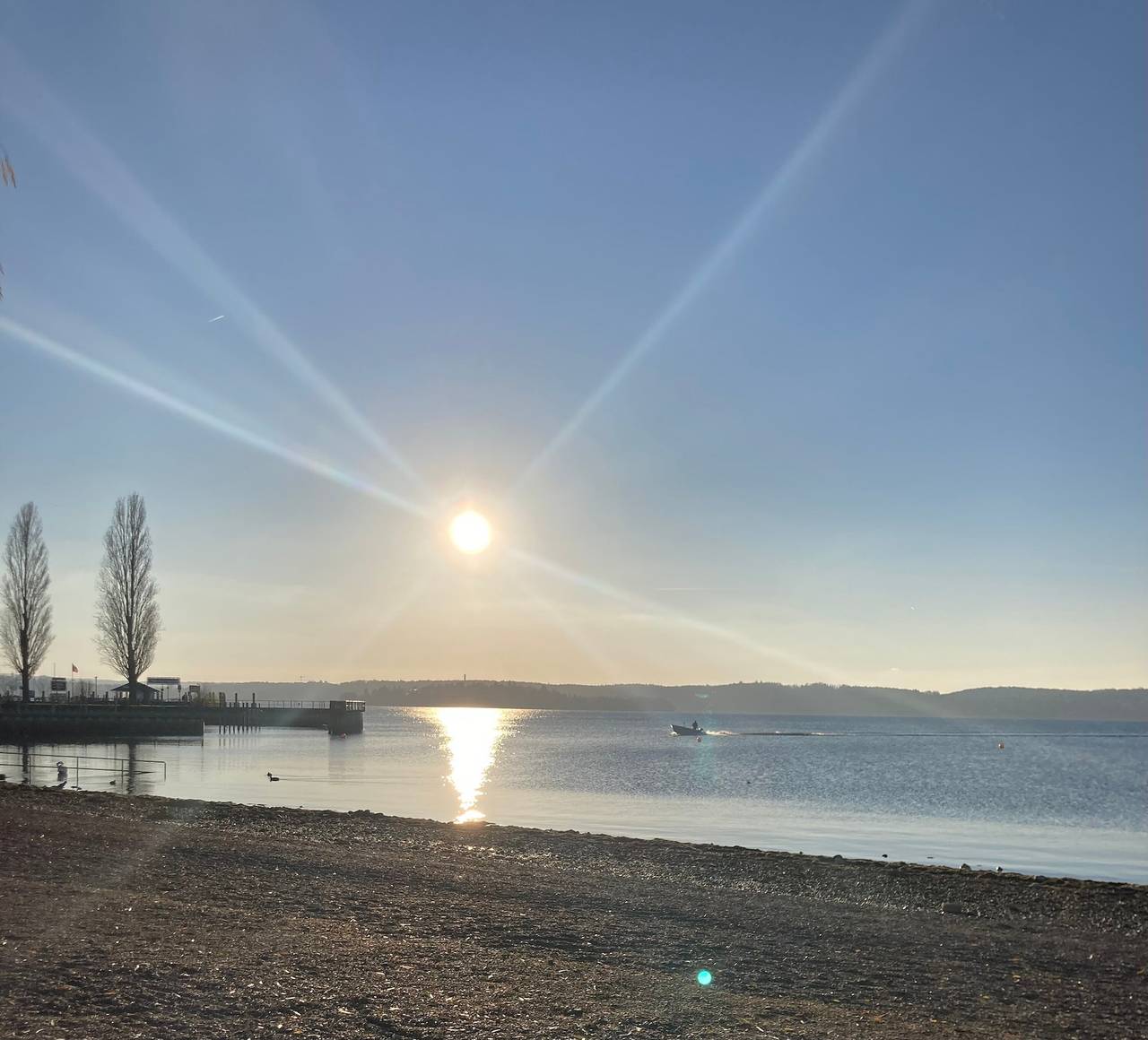 Ganze Wohnung, Studio G11 - Exklusives Apartement in Unteruhldingen, Uhldingen-Mühlhofen