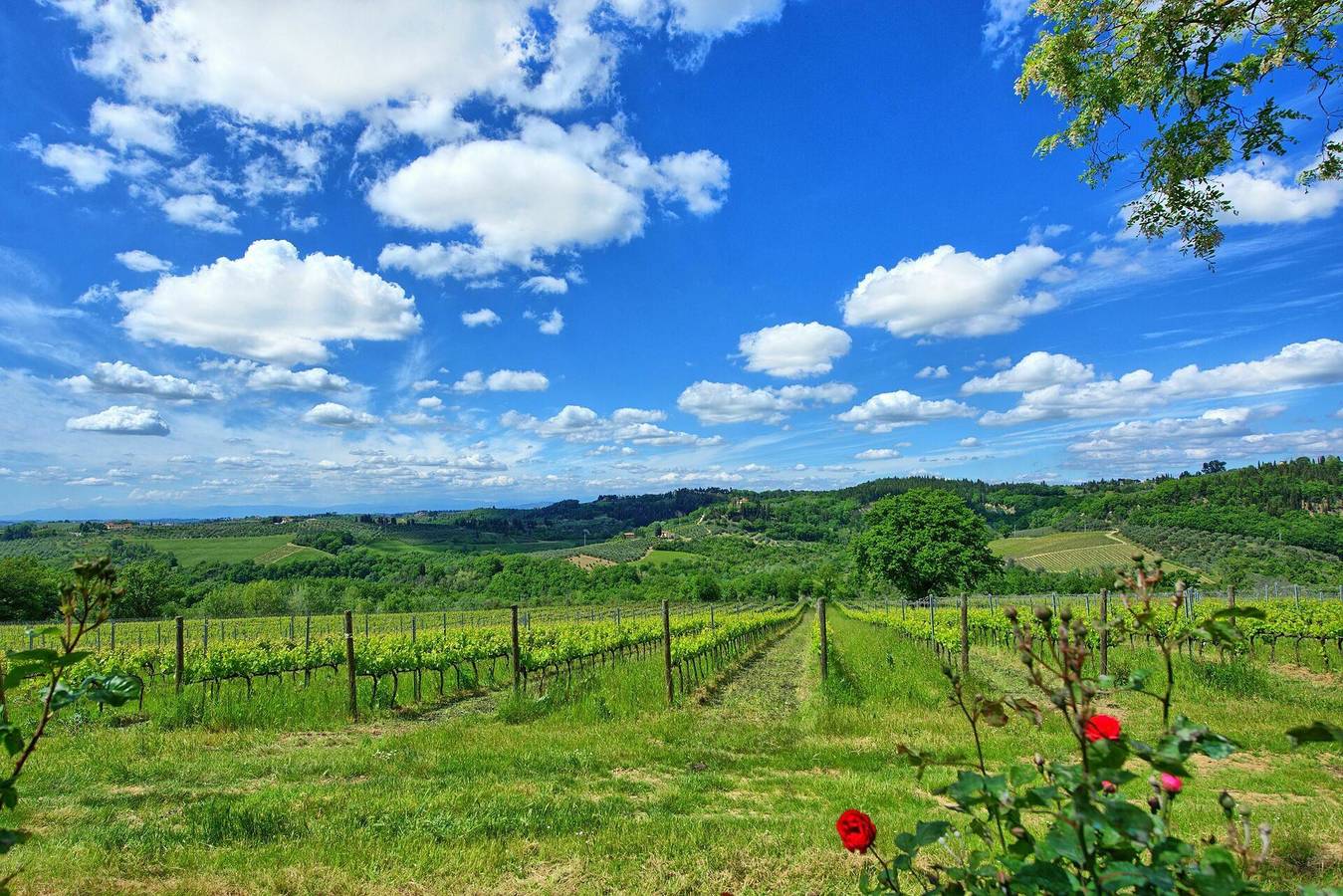 Villa für 10 Personen mit Terrasse in Certaldo, Chianti