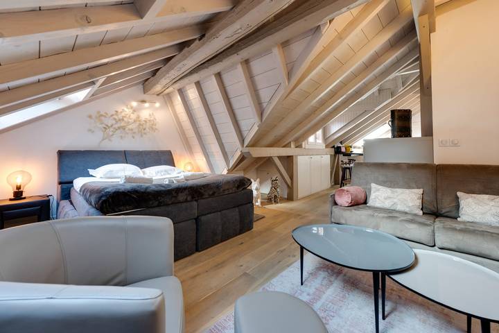 Vakantiewoning voor 4 personen in Annecy