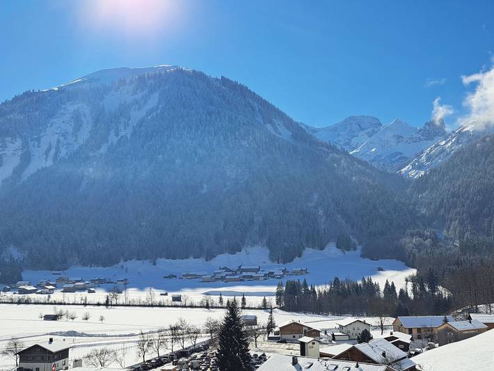 Bauernhof für 7 Personen, mit Ausblick und Garten im Bregenzerwald - 2