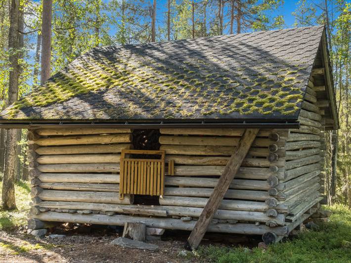 Ukkohermanni in Lappland