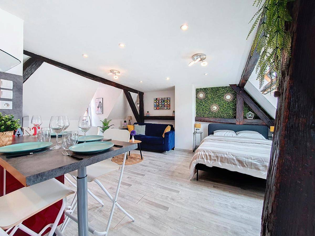Appartement entier, Le Marcaron - Hypercentre Obernai - Confort - Lumineux in Obernai, Région de Sélestat-Erstein