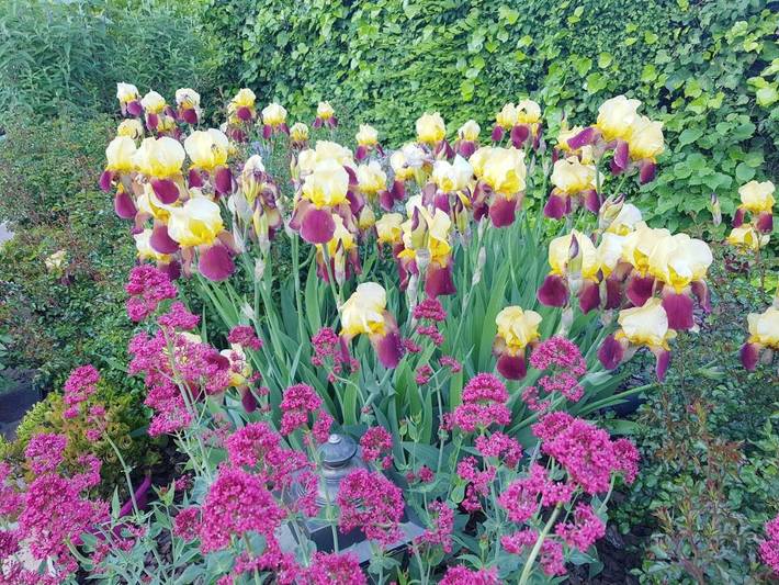 Hôtel pour 2 personnes, avec jardin et vue à Gannat - 4