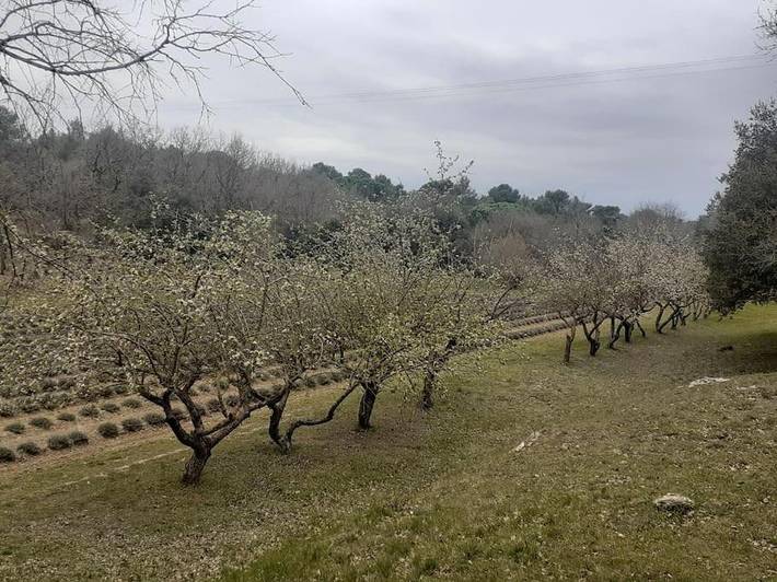 Location de vacances pour 6 personnes, avec terrasse, animaux acceptés à Jouques - 4