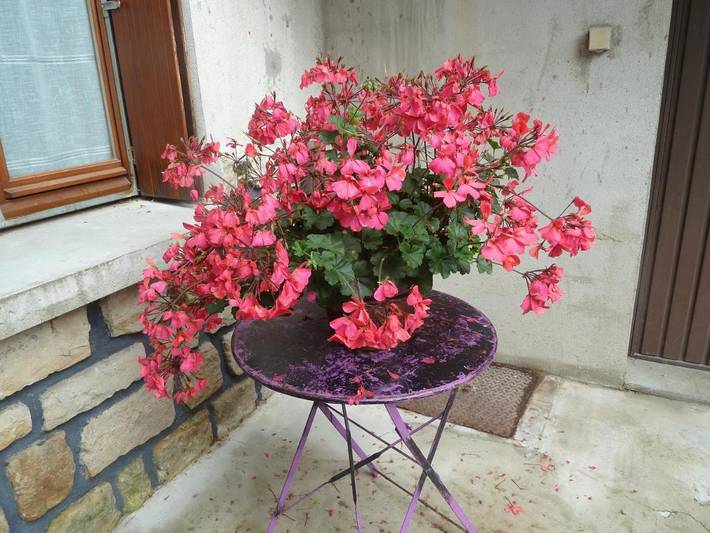 Gîte pour 4 personnes, avec jardin et terrasse à Labégude - 3