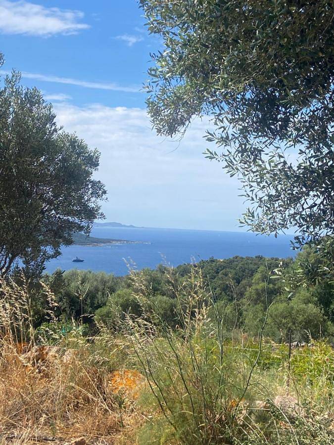 Tente pour 2 personnes, avec jardin ainsi que vue et piscine en Corse-du-Sud - 3