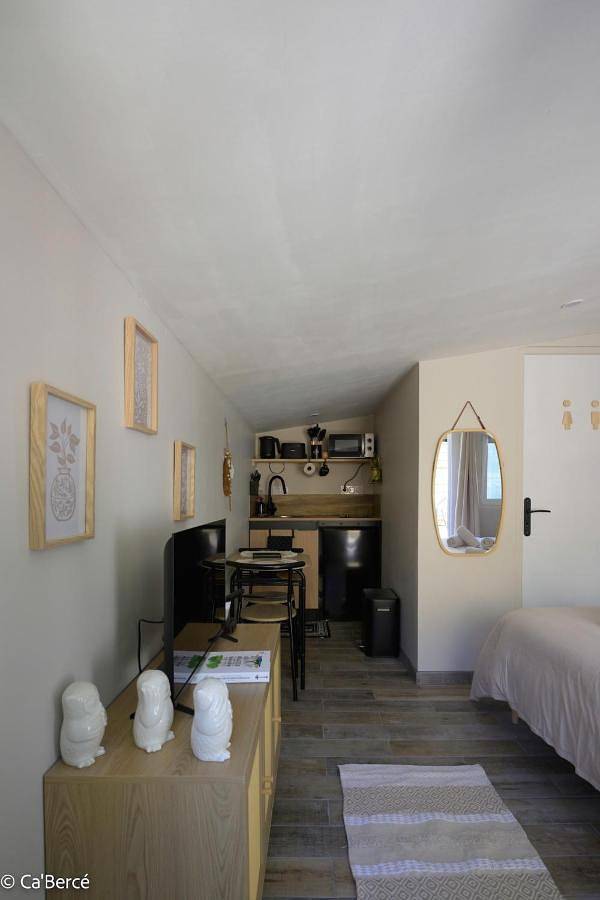 Location de vacances pour 2 personnes, avec terrasse à Château-du-Loir - 2