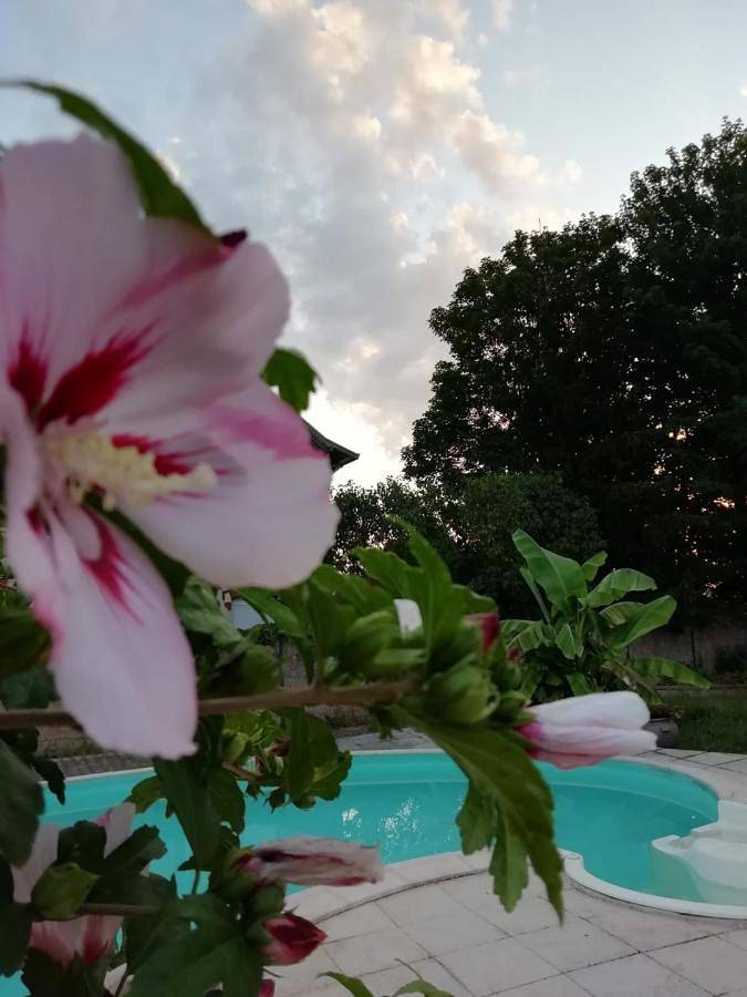 Location de vacances pour 2 personnes, avec piscine et jardin à Montceau-les-Mines - 2