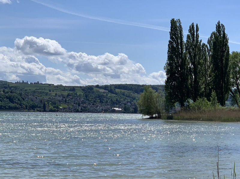 Gästehaus am See - Doppelzimmer mit Du/Wc, Seeblick, Tv, Wlan, Og in Gaienhofen, Untersee