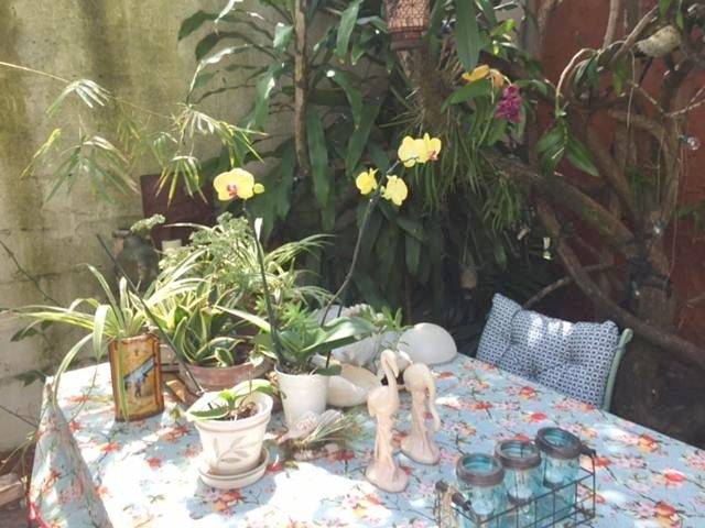 The Wild Rose in Little Havana, Miami