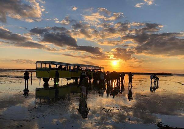 Location de vacances pour 6 personnes, avec vue et piscine, animaux acceptés à Saint-Broladre - 4