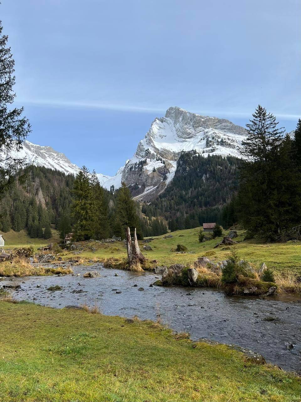 Ganze Ferienwohnung, Schöne Ferienwohnung in Wildhaus Toggenburg in Unterwasser, Wildhaus-Alt St. Johann