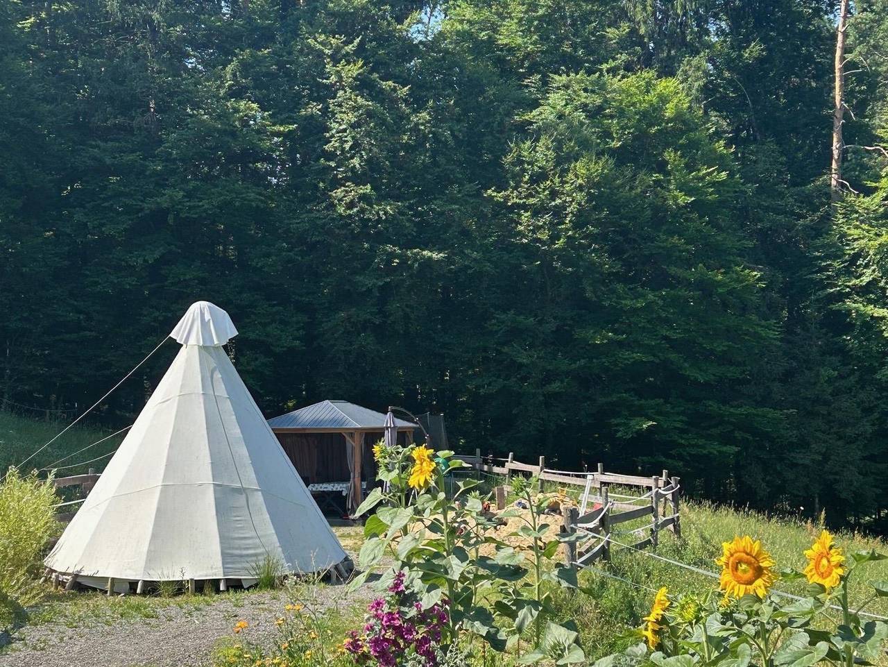 Tipi-Glamping am Gut Kunterbunt - Tipi (ohne Verpflegung) in Steirerland