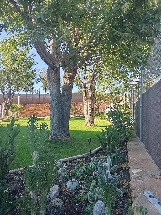 Casa rural para 8 personas, con Balcón y Terraza además de Jardín y Vistas en Parque natural de las Lagunas de Ruidera - 3