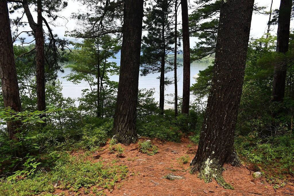 Utopia on Big Squam! in Holderness, Squam Lake