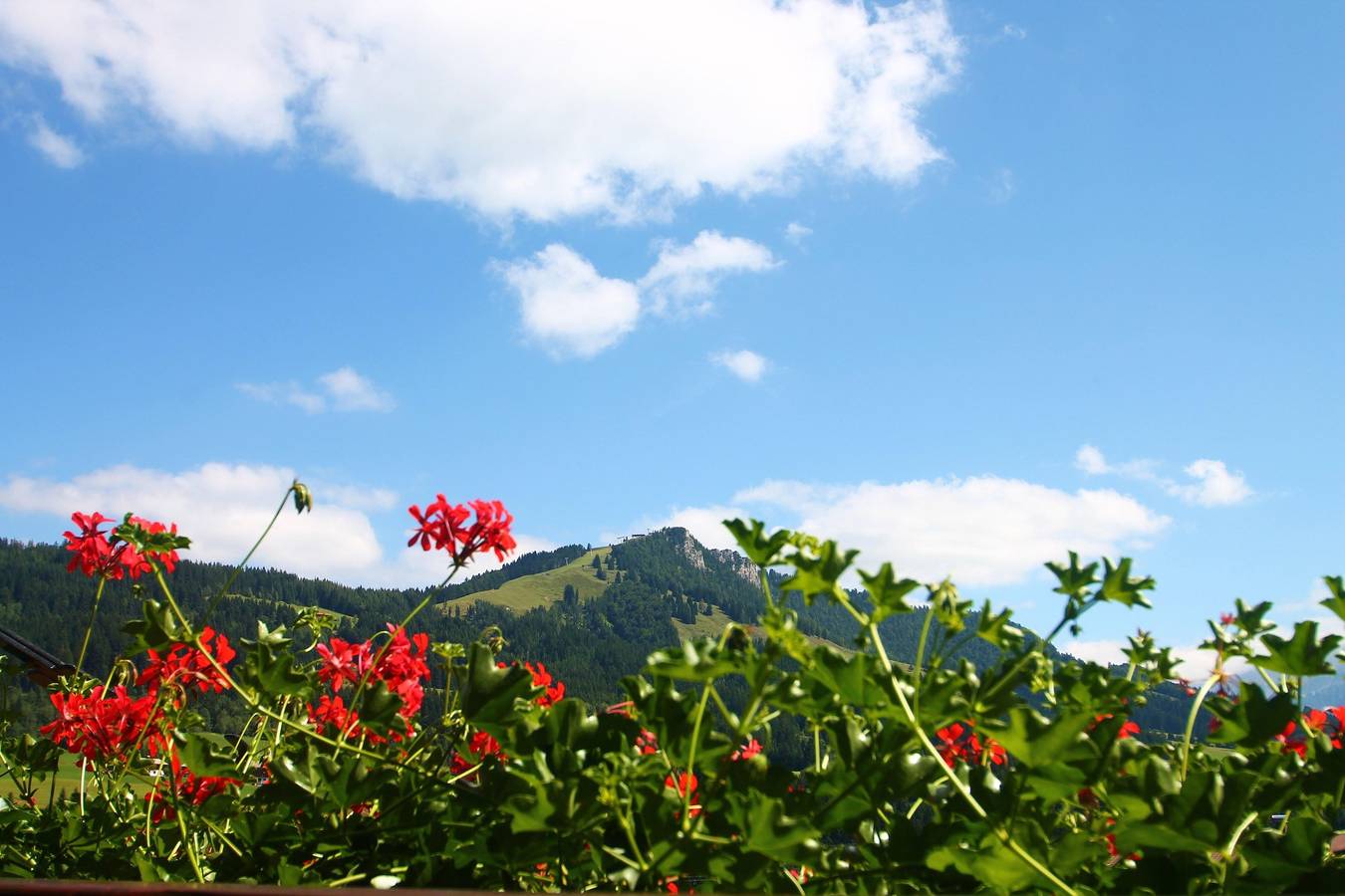 Ganze Ferienwohnung, Ferienwohnung Buchensteinwand in Fieberbrunn, Saalbach-Hinterglemm