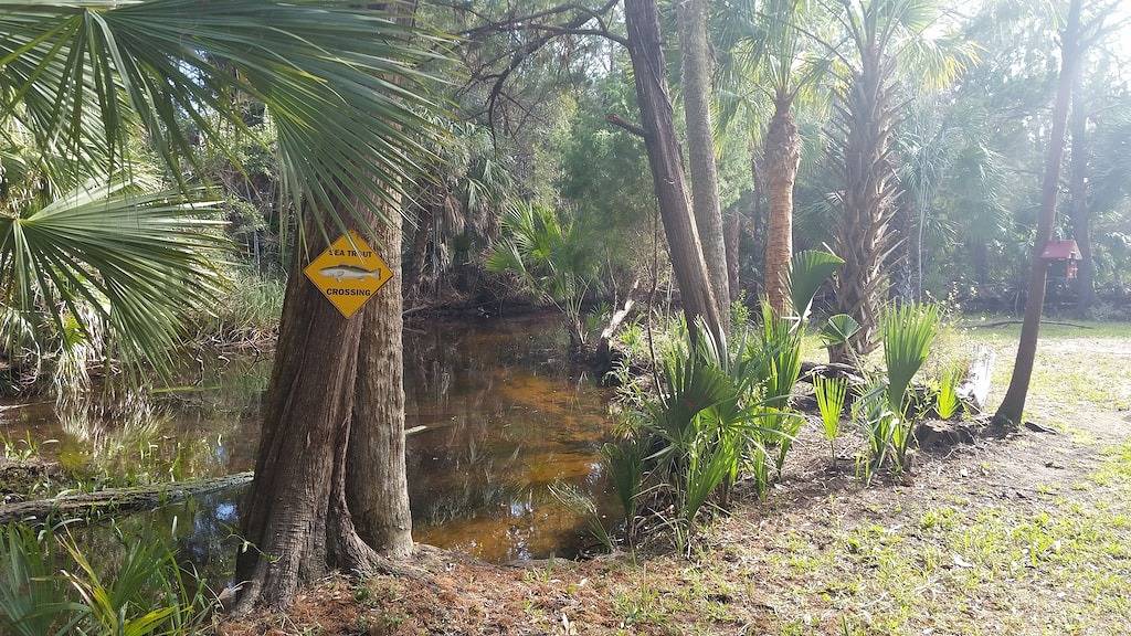 Camping for 8 Guests in Steinhatchee, Taylor County