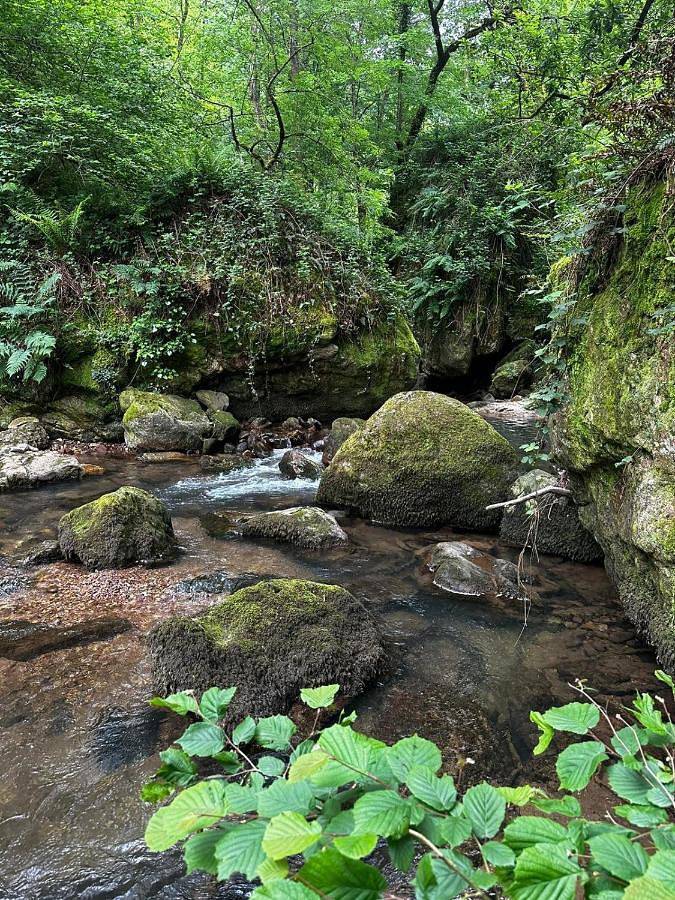 Location de vacances pour 4 personnes, avec terrasse ainsi que vue et jardin à Itxassou - 4