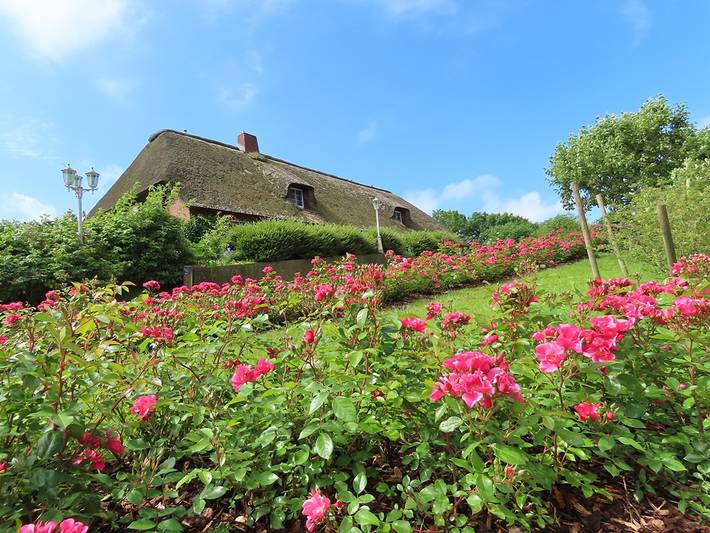 Ferienwohnung für 2 Personen, mit Garten in Ockholm - 2