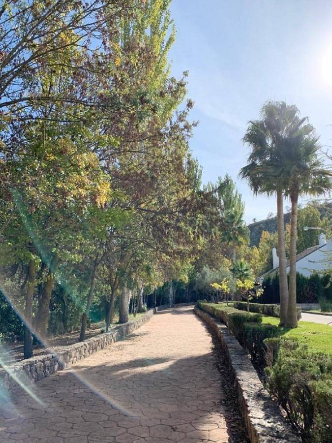 Location de vacances pour 9 personnes, avec terrasse, animaux acceptés à Cuevas del Becerro - 2