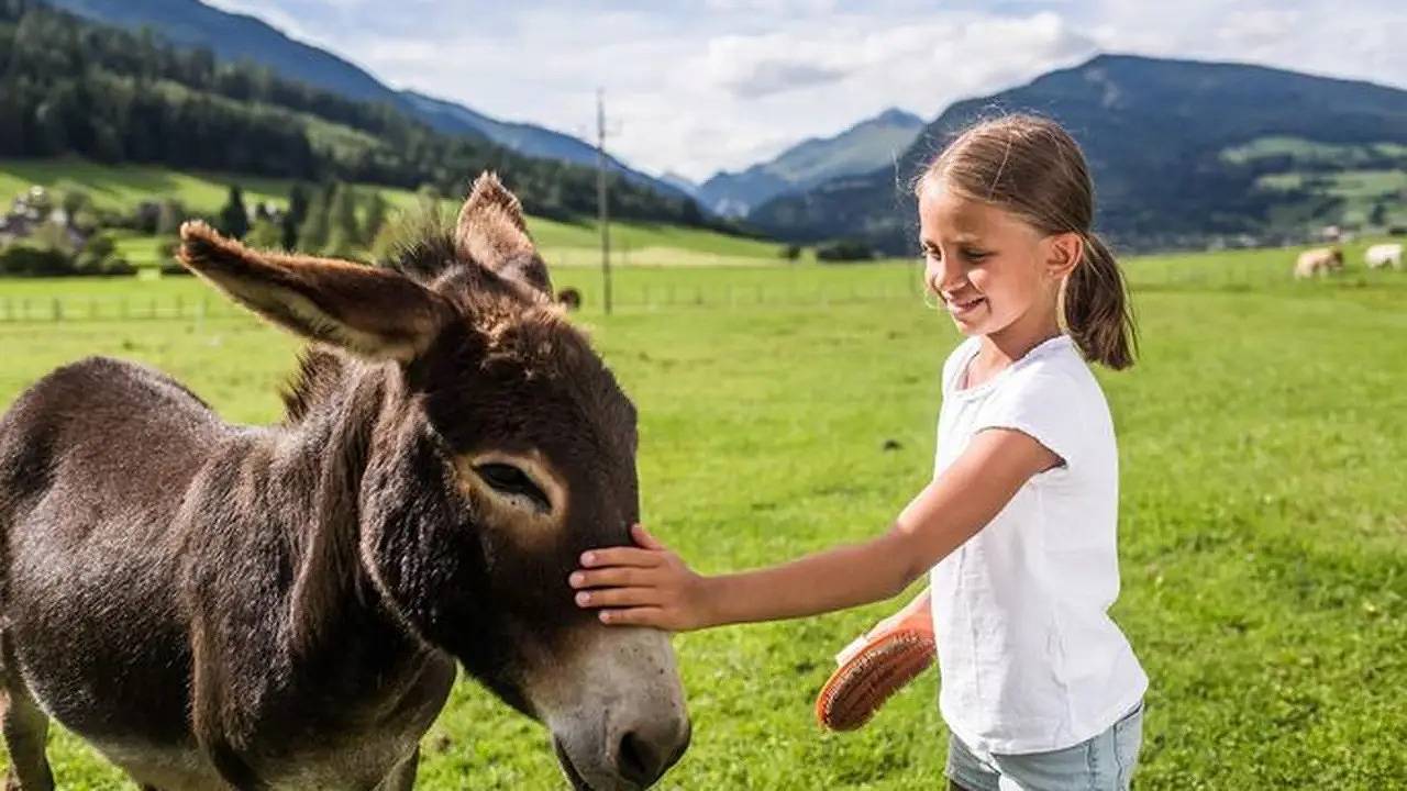 Ganze Ferienwohnung, Ferienwohnung für 4 Personen (60 m²) in Mauterndorf in Mauterndorf, Bundesland Salzburg