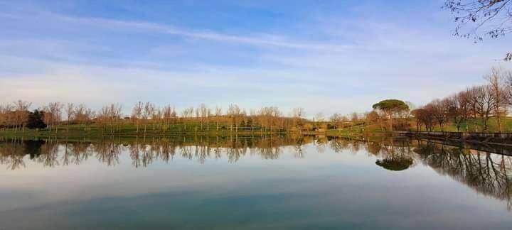 Tente pour 2 personnes, avec terrasse ainsi que vue et jardin, animaux acceptés dans le Tarn - 3